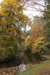 Herbst im Bremer Bürgerpark